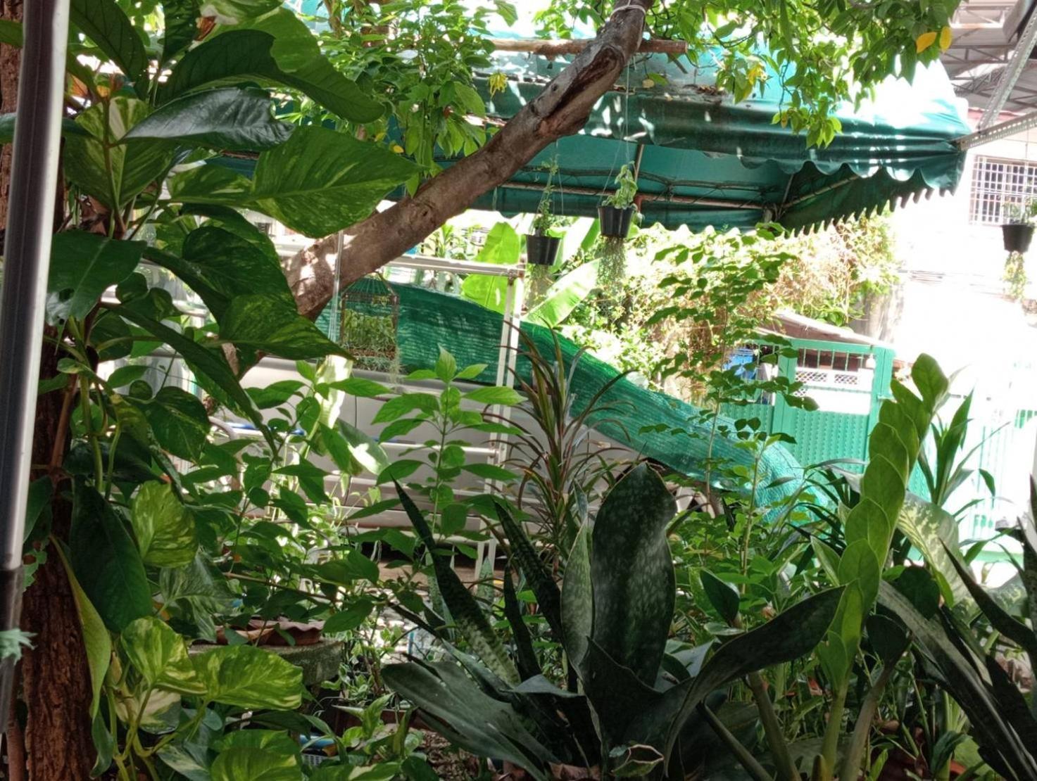 Young And Beautiful Banguecoque Exterior foto