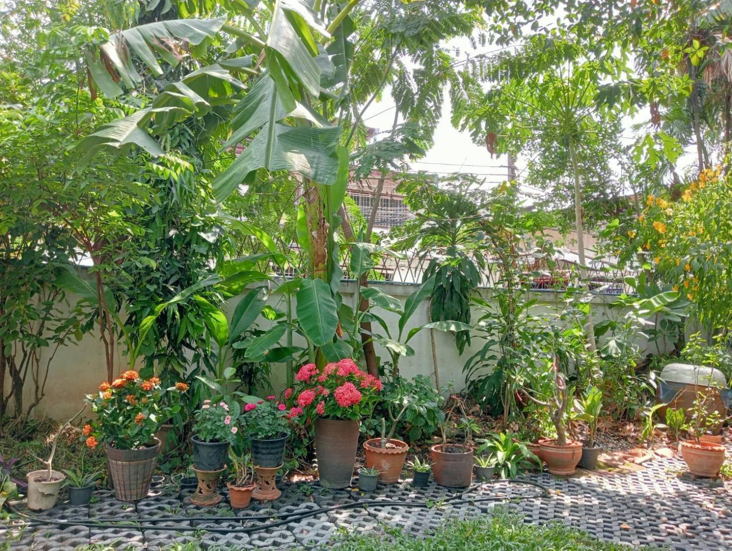 Young And Beautiful Banguecoque Exterior foto