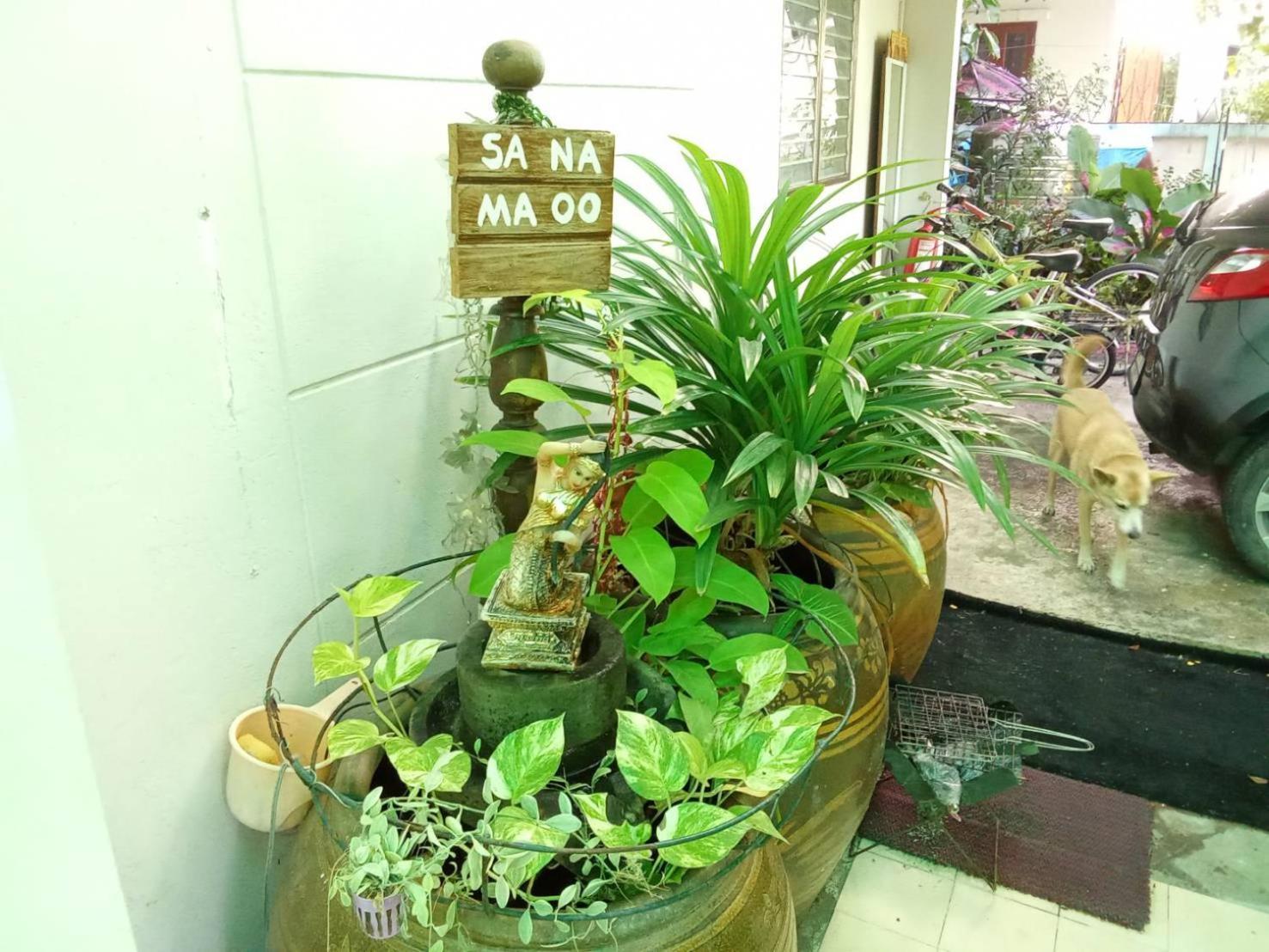 Young And Beautiful Banguecoque Exterior foto